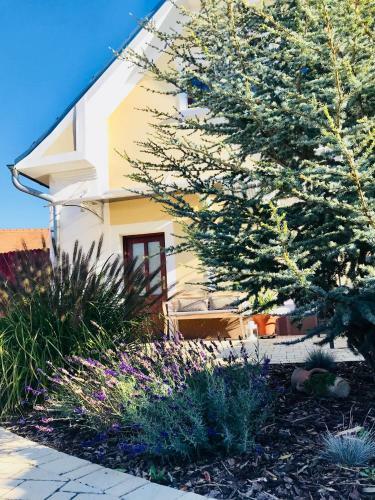 Solandria Lednice