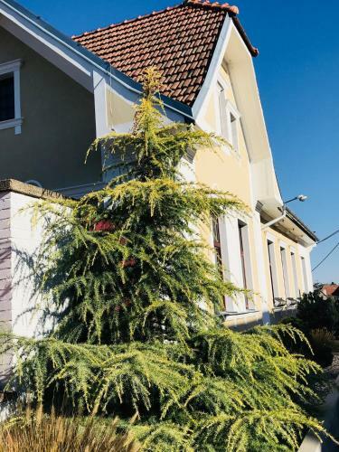 Solandria Lednice