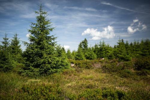 Hostal Penzion Pod ?er�kem