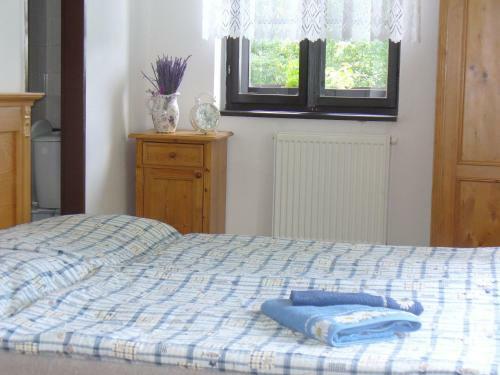 Posada Penzion Pytl�k