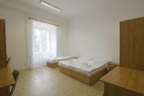 Hostal Z�mek Ra?ice