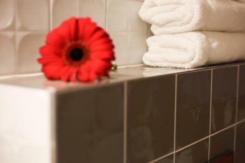 Hostal Penzion Recall