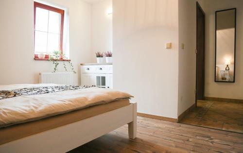 Hostal Penzion Recall