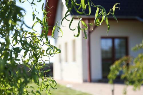 Hostal Penzion Recall