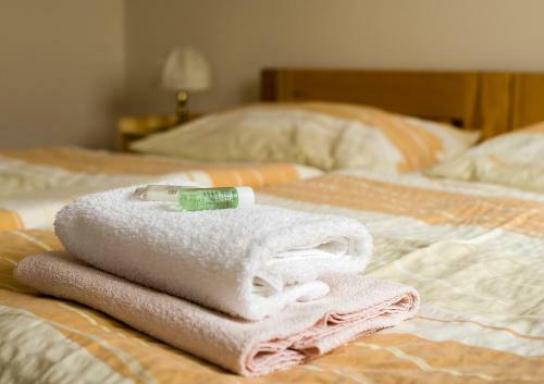 Hostal Penzion U Candru