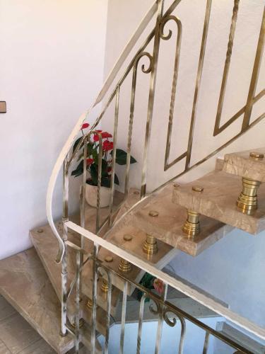 Apartamento Ferienwohnung Gisela Zum Steg