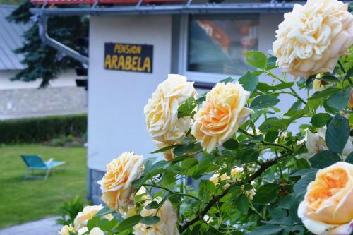Bed & Breakfast Pension Arabela
