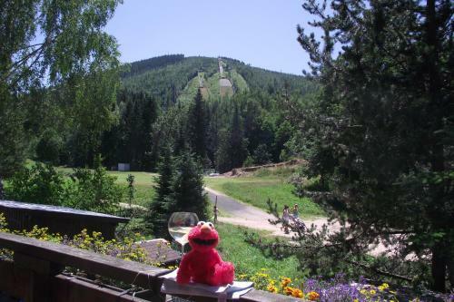 Hostal Pension U Krtka