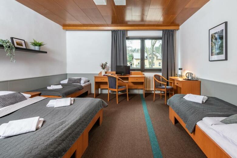 Hotel Sedy Vlk