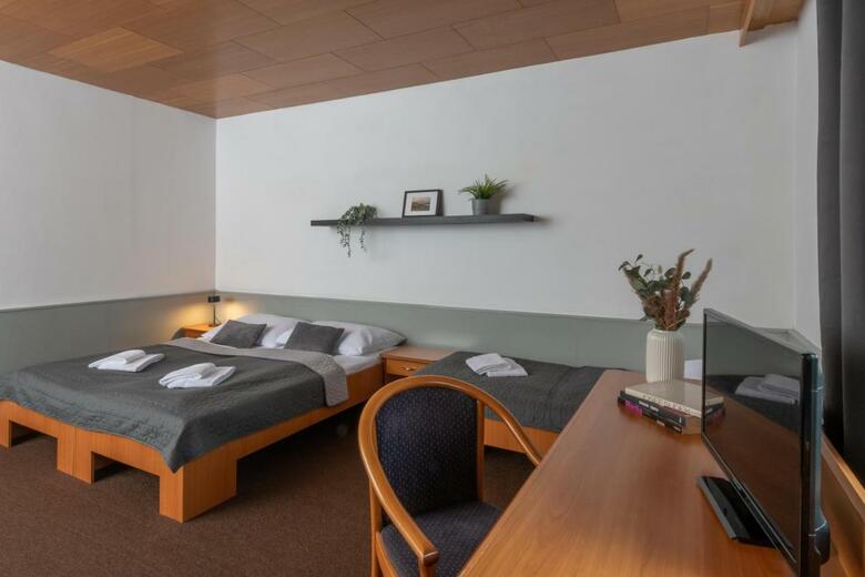 Hotel Sedy Vlk