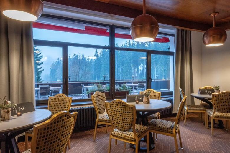 Hotel Sedy Vlk