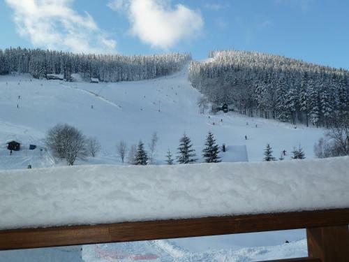 Hostal Pension Hollmann