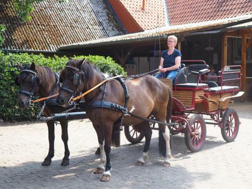 Apartamento Scholbe, Ferienhof