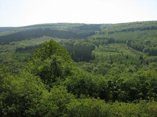 Hostal Berghotel Holzerath