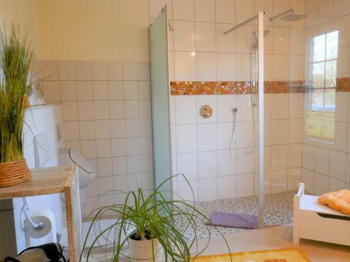 Ferienhaus Menschen, Meehr & Wilder Wein