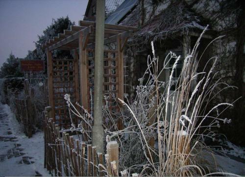 Ferienhaus Menschen, Meehr & Wilder Wein