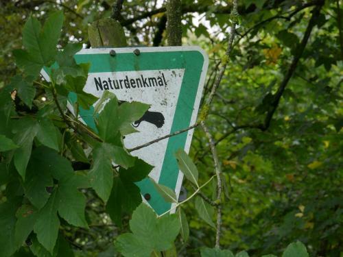 Ferienhaus Knodel