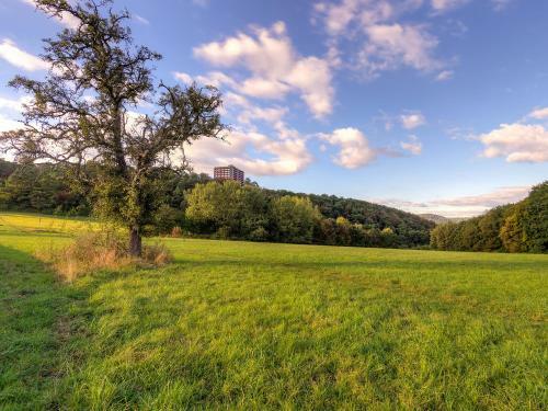 Apartment A1110 (ferienpark Rhein-lahn)