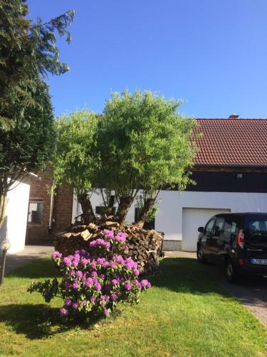 Hostal Pension Zum Alten Gasthaus H�nsel