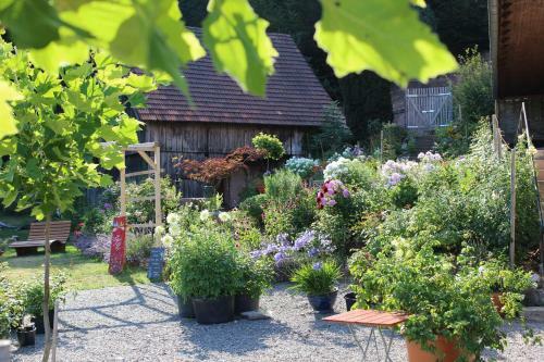 Agroturismo The Moosbach Garden