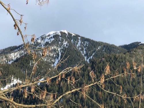 Hostal Landhaus Wiesner