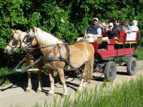 Agroturismo Ferienhof Roge