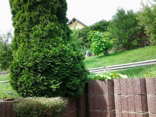Ferienhaus Waldblick