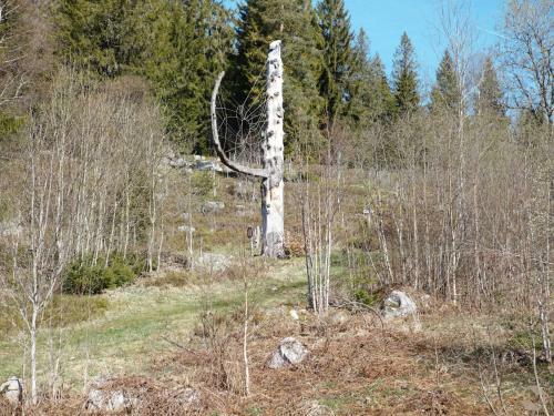 Apartamento Albhof Am Wasserfall