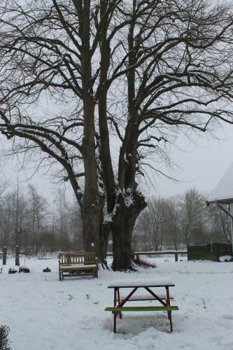 Agroturismo Lindenhof Habernis