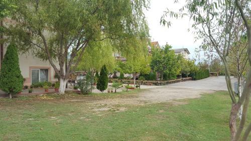 Hostal Apartments Dan Dar