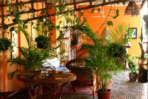 Hostal Villa Koh Dach