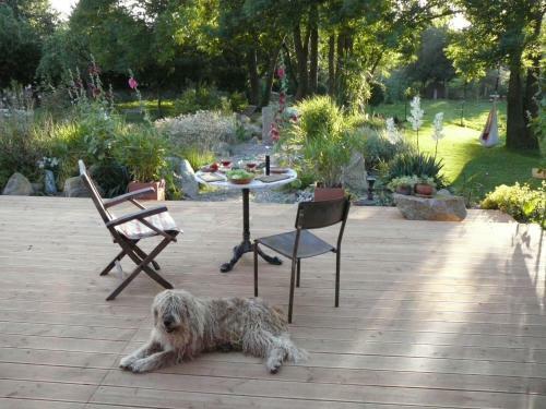 Beautiful Mansion Near Lake In Warnow