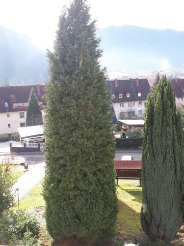 Posada Schwarzwaldhotel / Wolfach