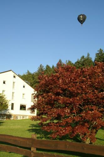 Hotel Adlerhof