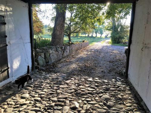 R�dk�rg�rd Bed&breakfast
