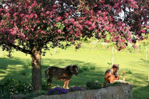 R�dk�rg�rd Bed&breakfast