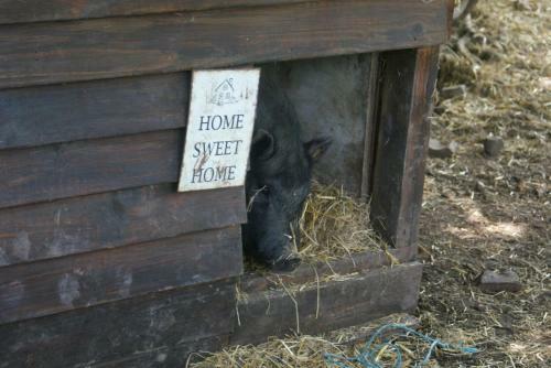 Debbie's Bed And Breakfast
