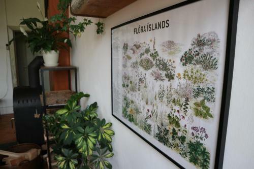 Bed & Breakfast Fjelde Guesthouse