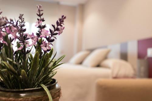 Apartamento Estudios Do�a Manuela