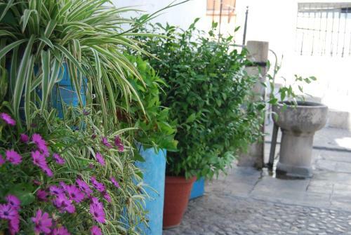 Apartamento Casa Canava