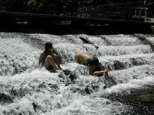 Camping Municipal De Monterroso