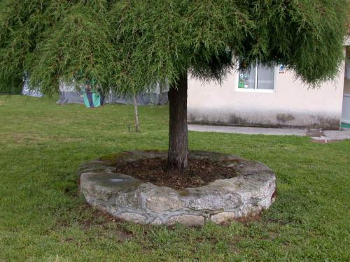 Camping Municipal De Monterroso