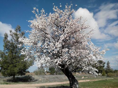 Hotel Balcones De Piedad