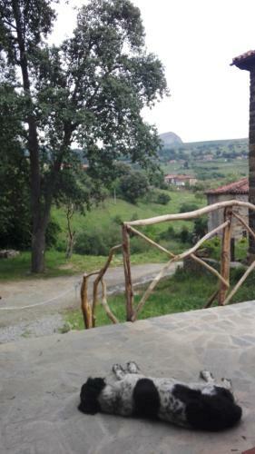 Albergue De Soba