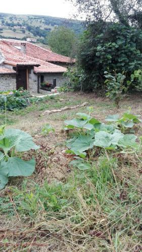 Albergue De Soba