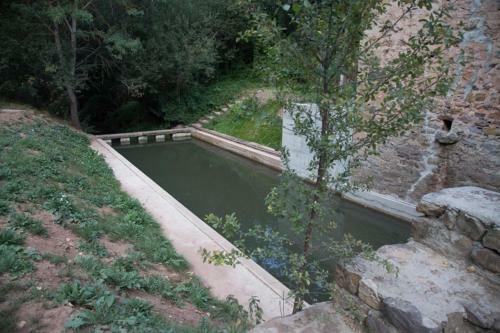 Molino T2
