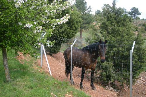 Hostal Albergue Rural Econatur