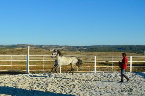 Hostal Rural Reillo