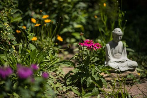 Bed & Breakfast La Perrot Damoise
