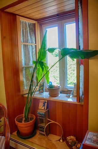 Bed & Breakfast La Perrot Damoise